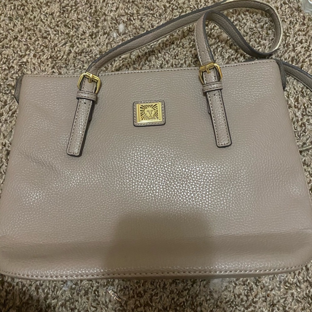 lion bag